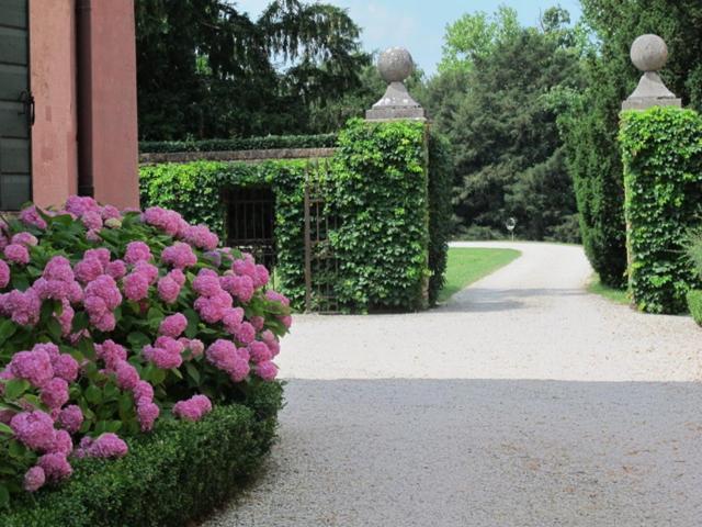 Foresteria Di Tiepolo Passi Maison d'hôtes *